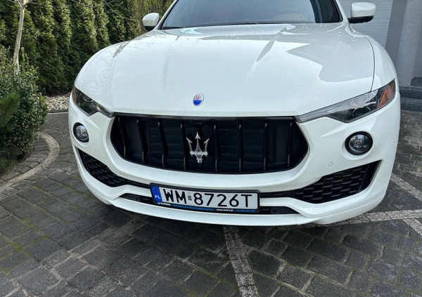 Maserati Levante cena 269000 przebieg: 48000, rok produkcji 2020 z Elbląg małe 301